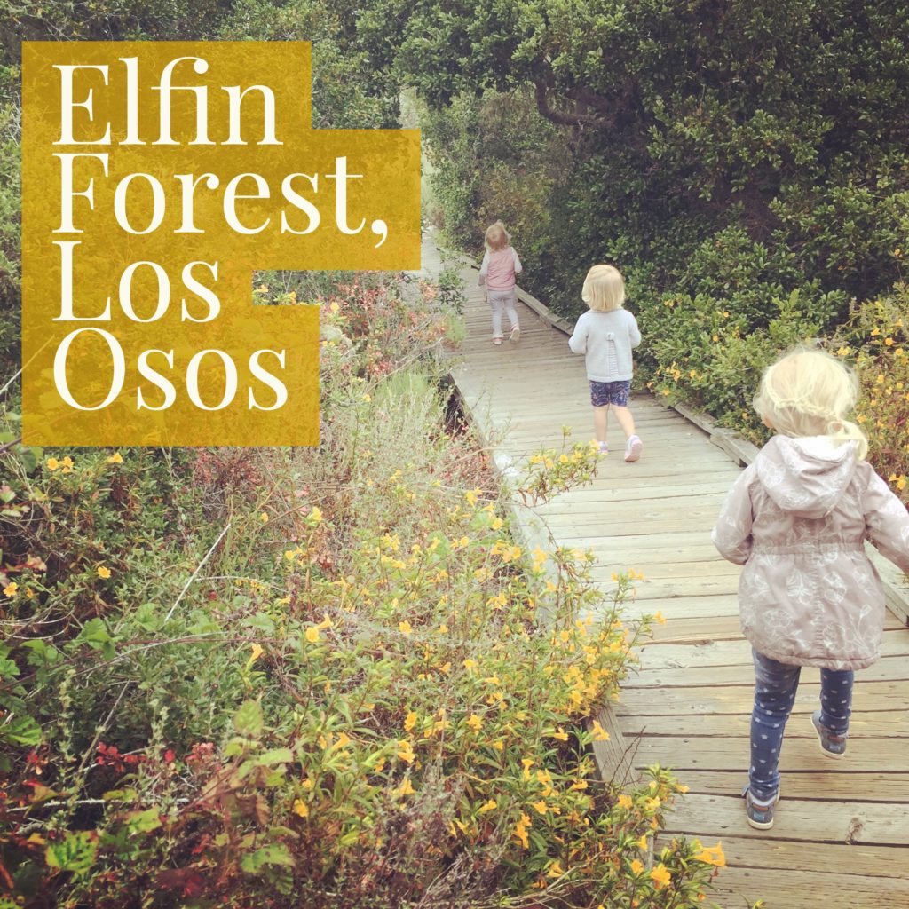 Visit the Elfin Forest in Los Osos California, a great place to visit with your toddlers and babies.