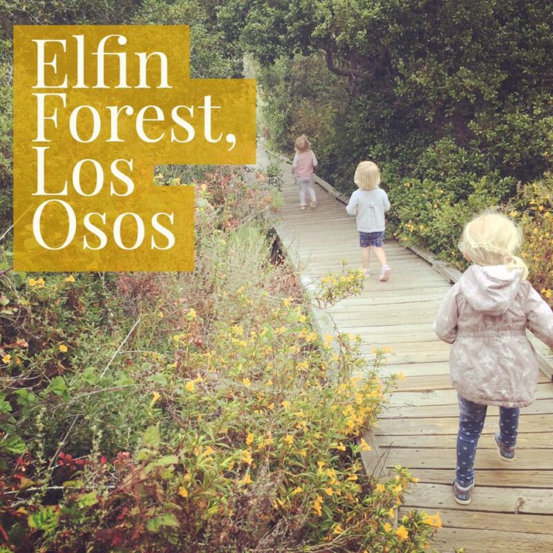 The El Moro Elfin Forest in Los Osos boasts a boardwalk hike for the kids.
