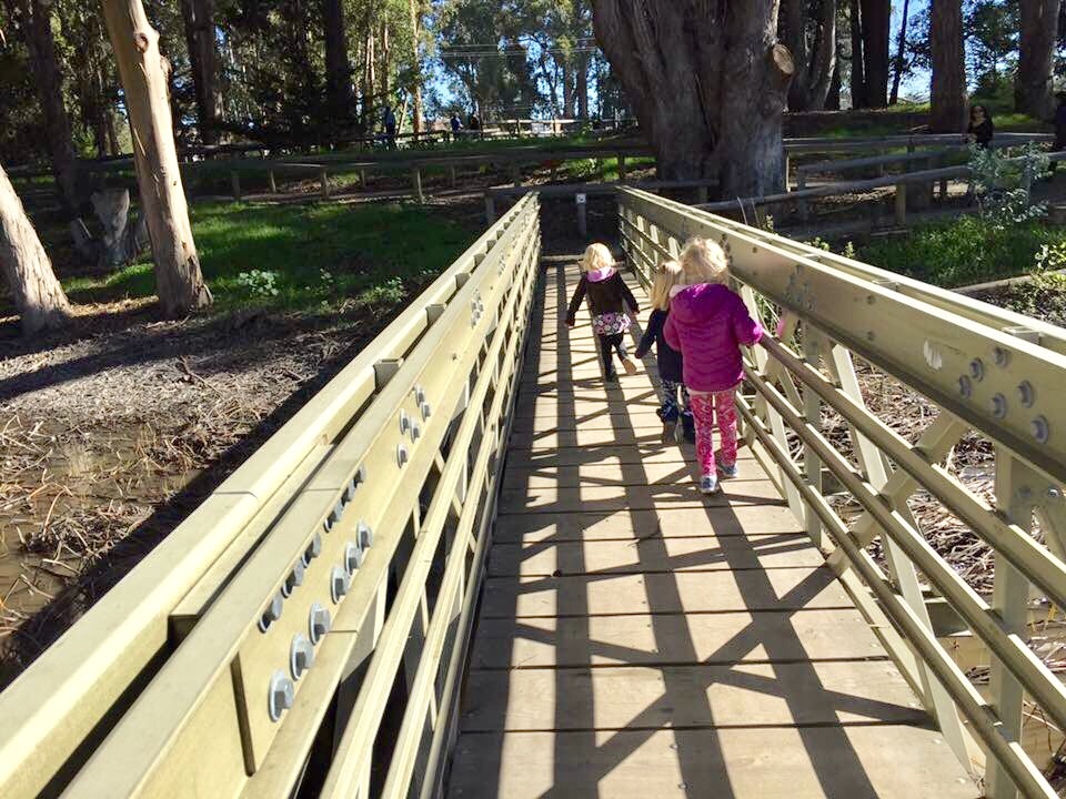 Meadow Creek Trail Bridge back to the Pismo Beach Monarch Butterfly Grove in San Luis Obispo County California.