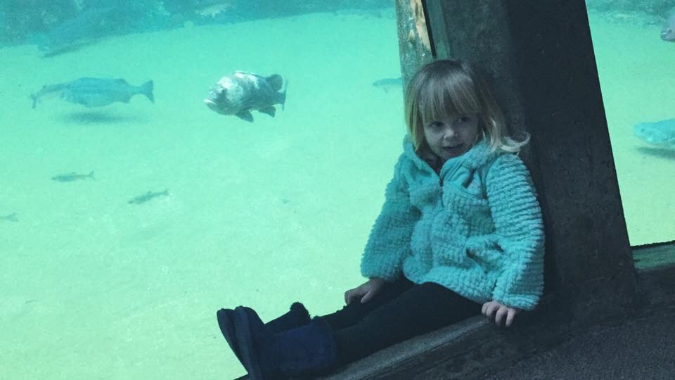 Toddler poses in front of fish at the Seattle Aquarium's Aqua Dome.