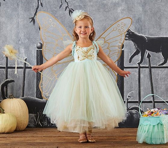 fairy princess costume