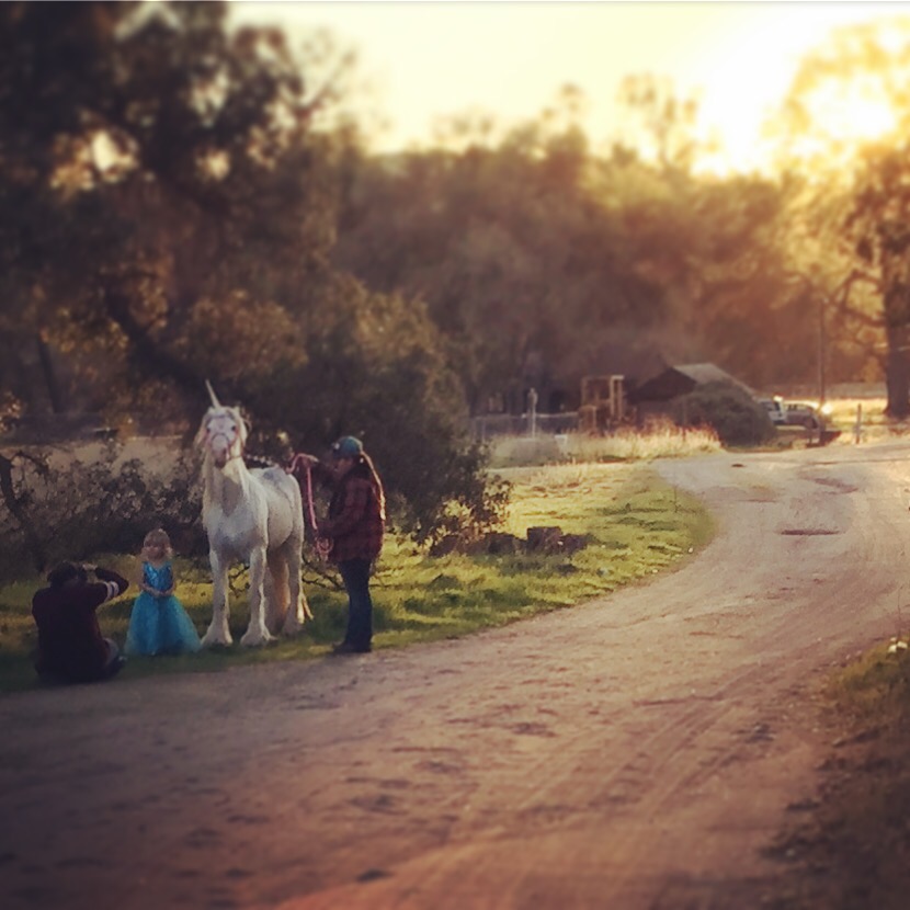 Instagram photo of little girl's photoshoot with a unicorn in Creston, California.