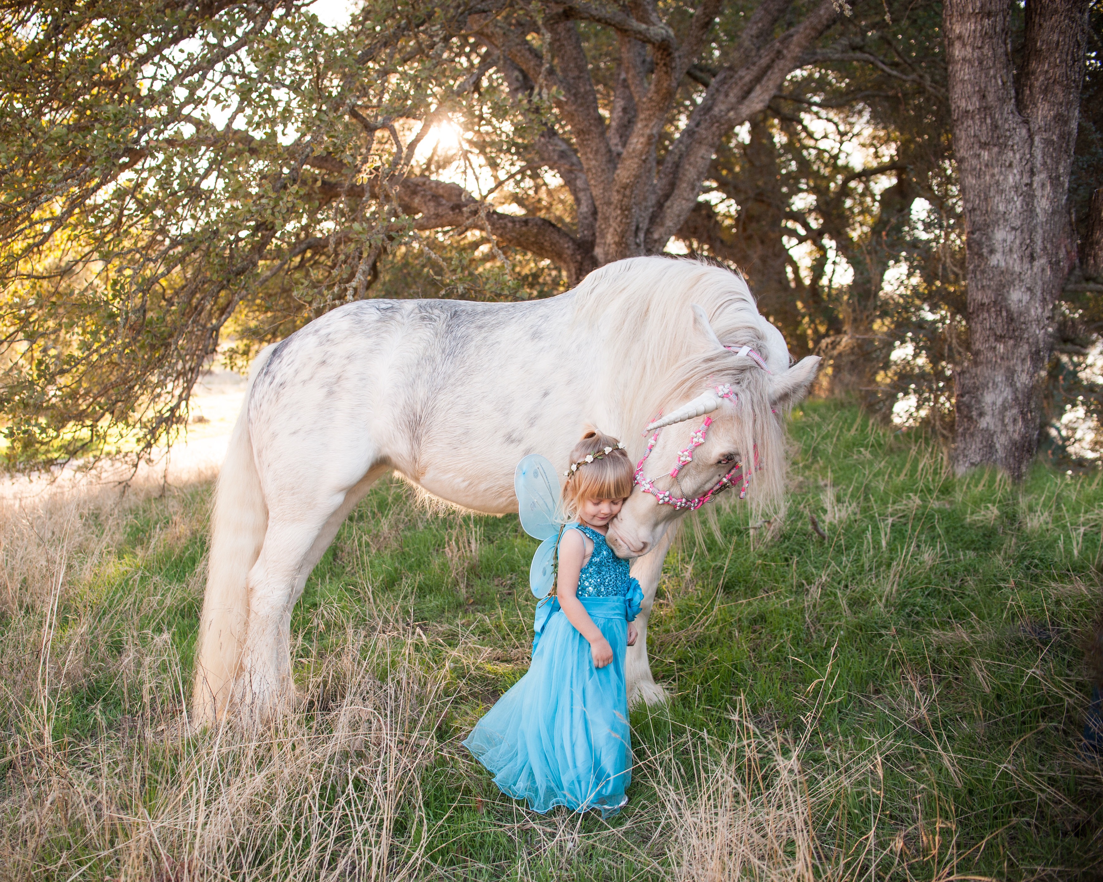 Magical unicorn nuzzles toddler dressed as a fairy princess in unicorn photoshoot in Creston, California. Unicorn hugs.