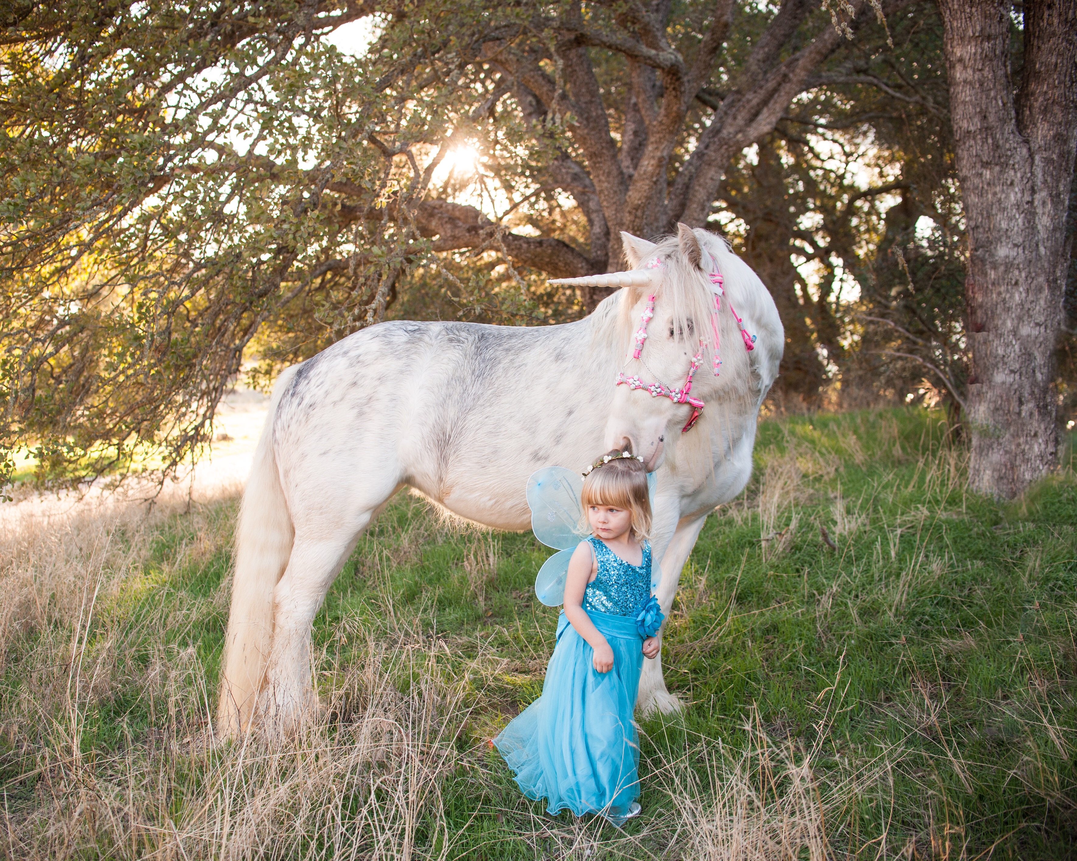 Unicorn and fairy princess look out toward the fields in Creston, California.