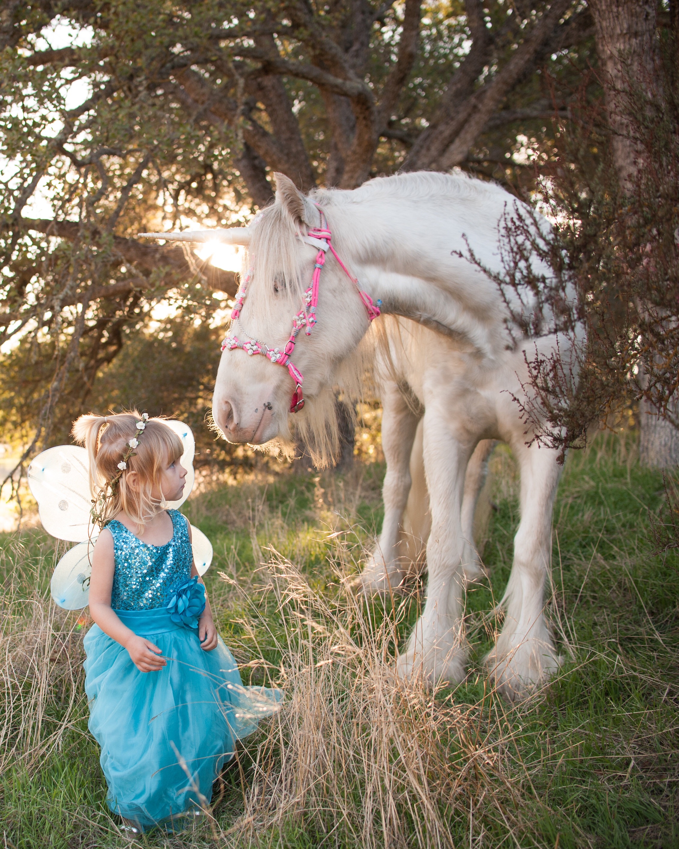 Little princess in fairy wings and a sparkle dress poses with magical unicorn in Creston, California