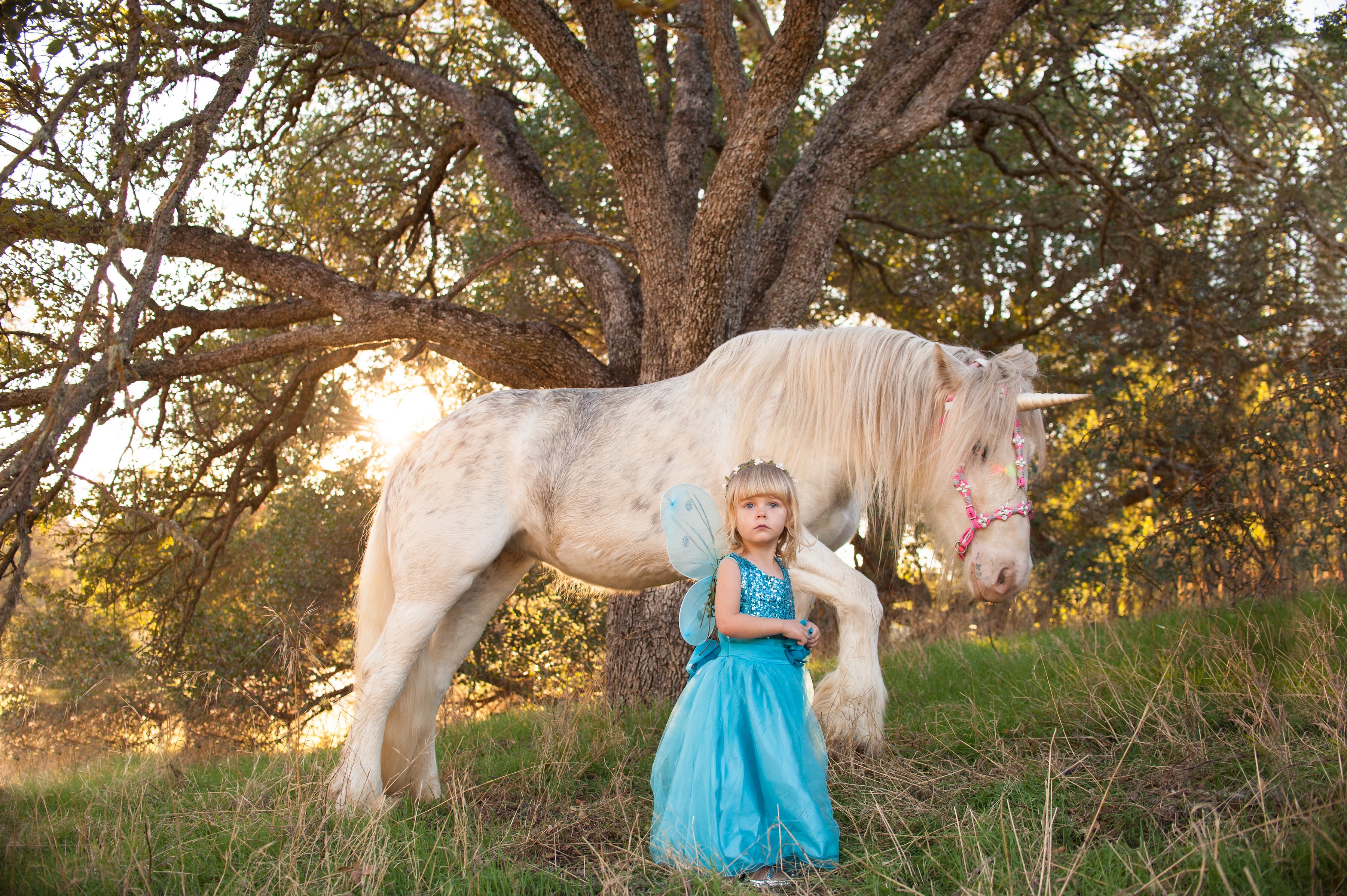 Toddler wears butterfly fairy princess costume to hang out with a unicorn
