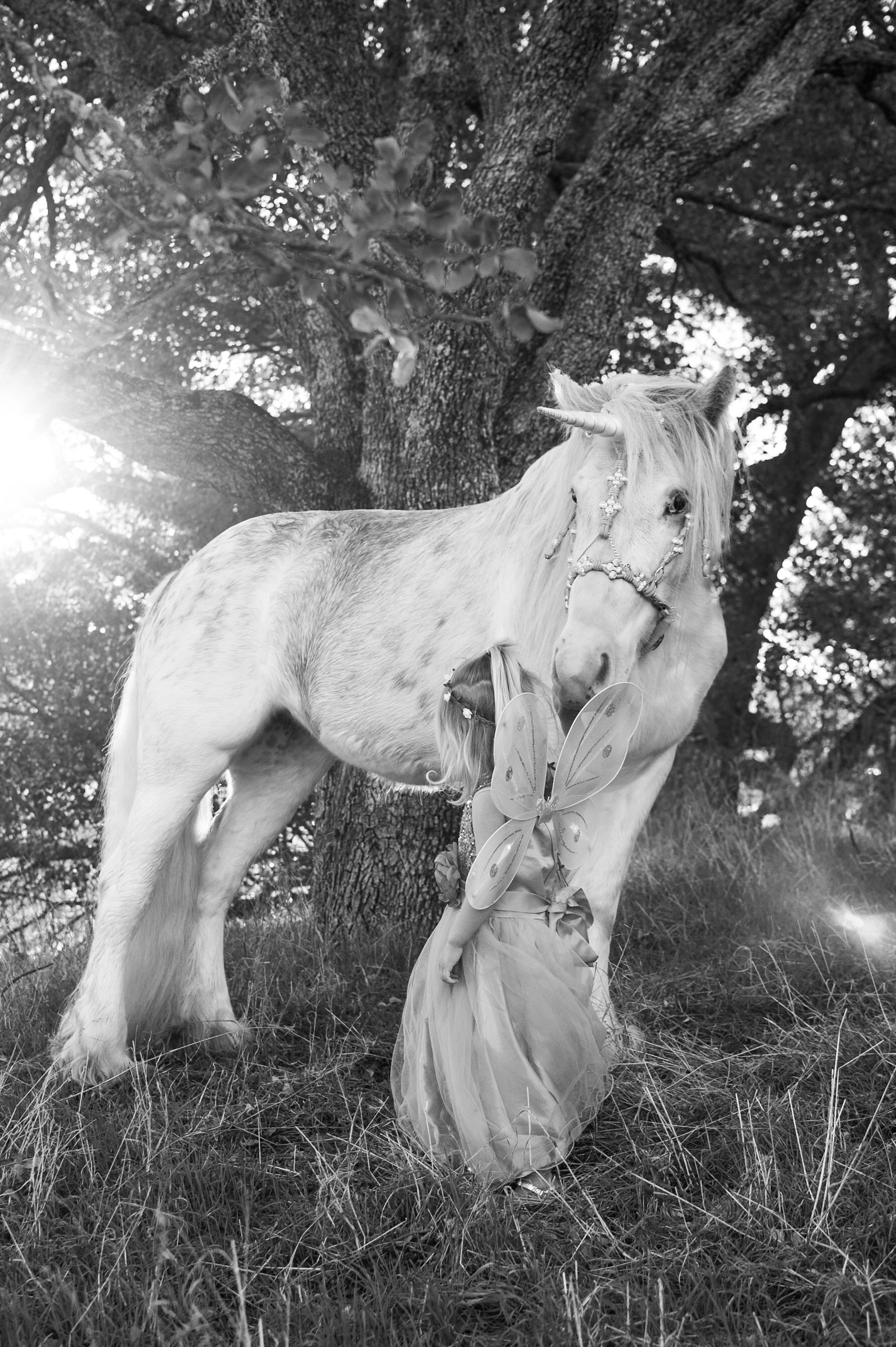 Unicorn and fairy pose under the light of the sun, in black and white image.