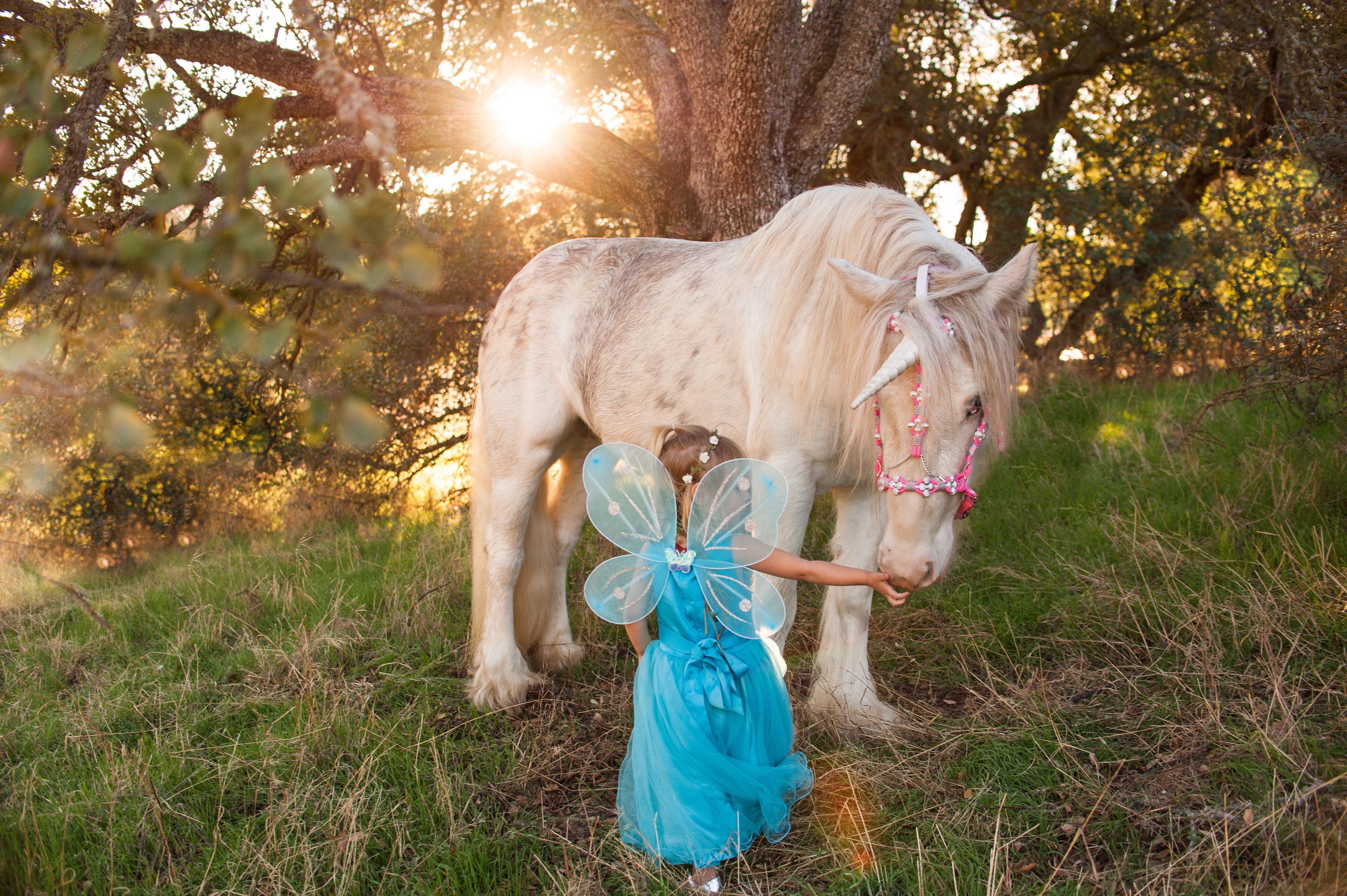 Fairy princess reaches out to a magical unicorn under the sunset in Creston, California.