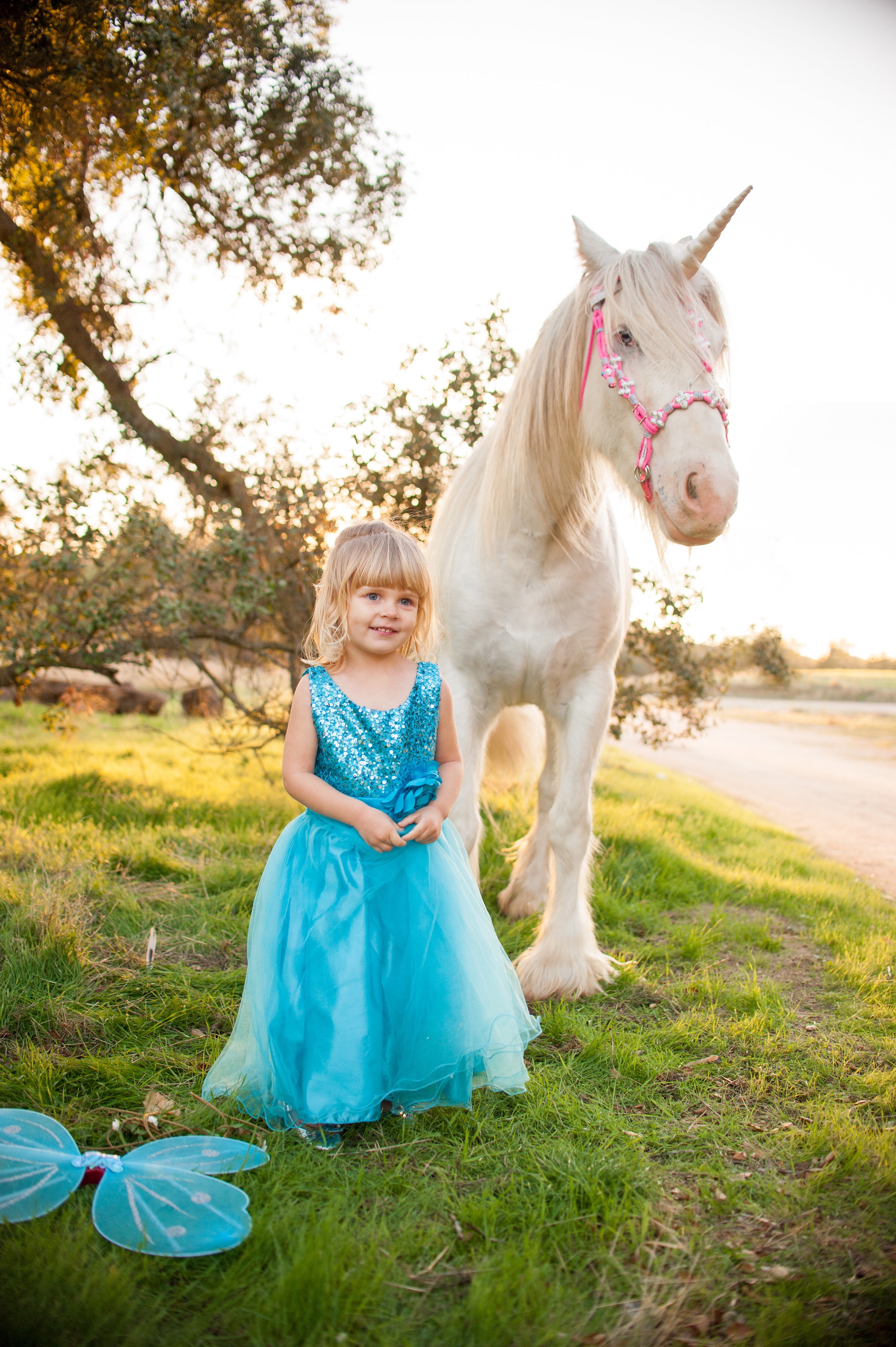 Sunset Photography Unicorn Photoshoot, Creston California.