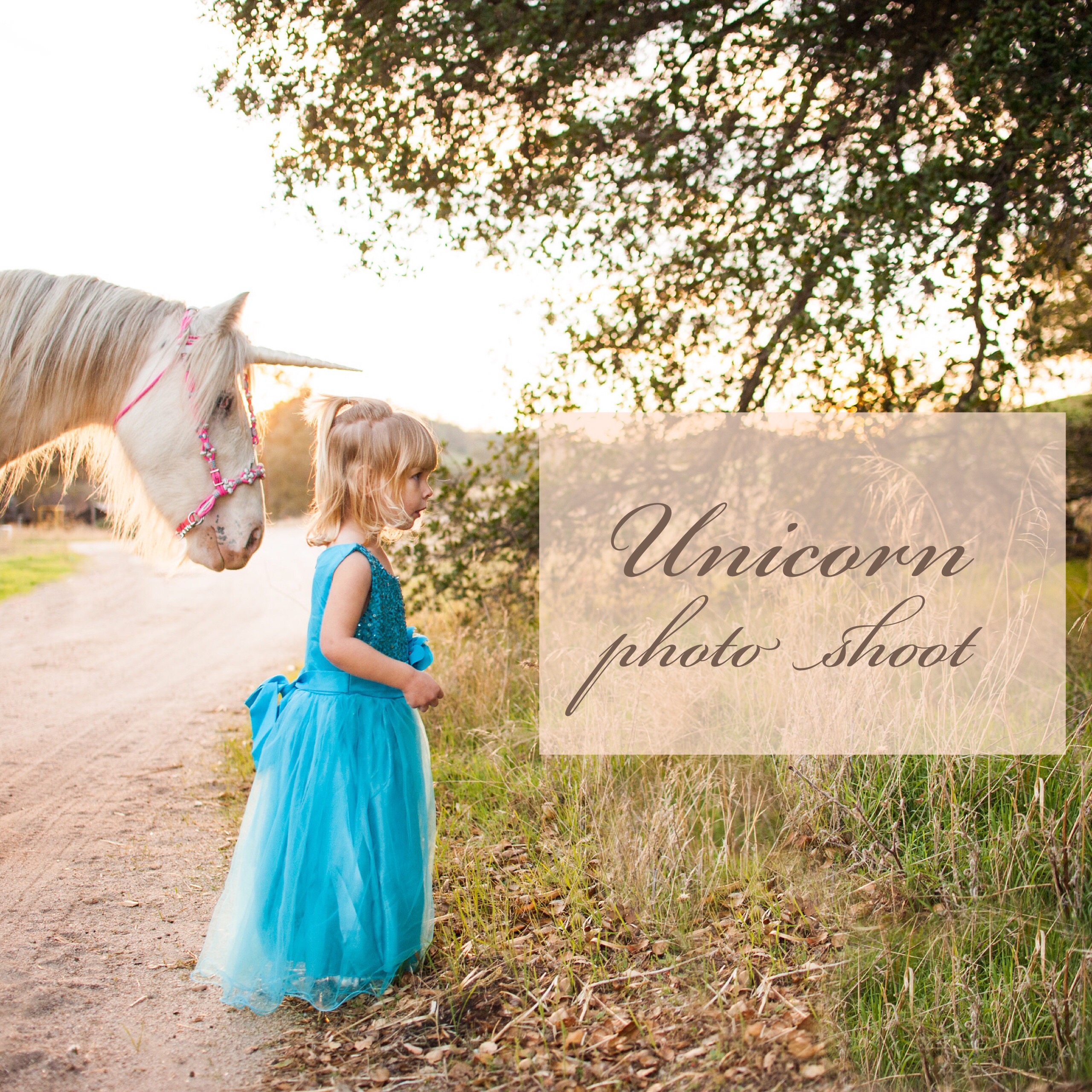 Toddler dressed as a fairy princess poses with a unicorn in a magical photoshoot in Creston, California.