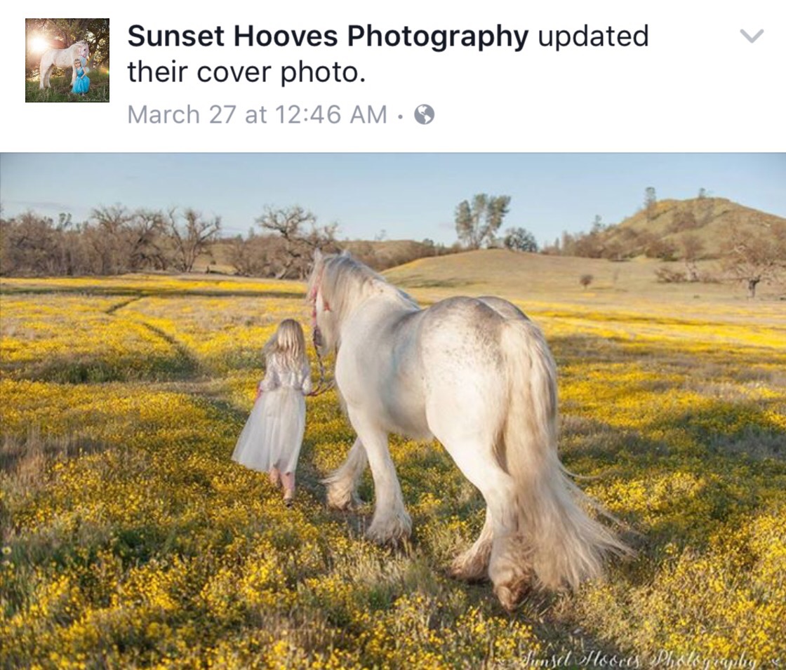 Little girl leads unicorn through California's wildflowers.