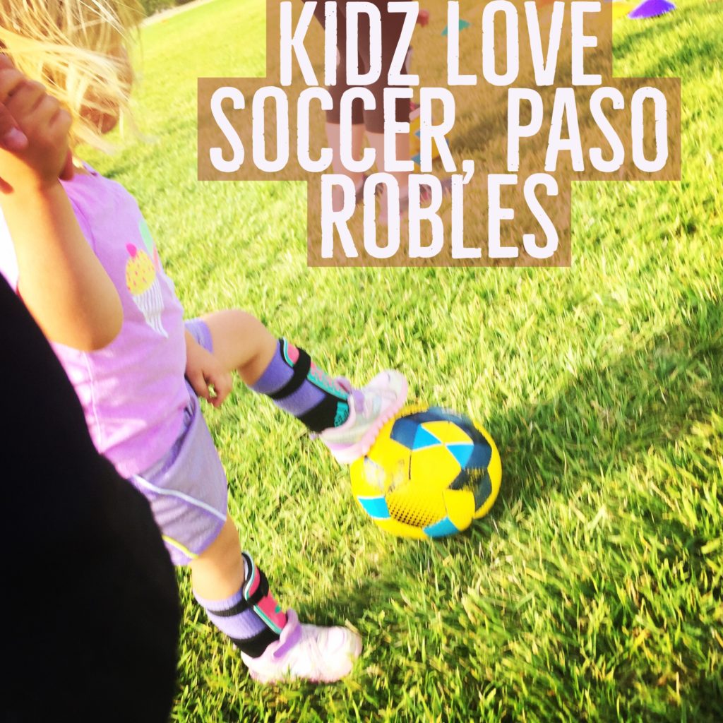 Here is a blog post about the Kidz Love Soccer Mommy/Daddy & Me class in Paso Robles California from Two In Tow & On The Go.