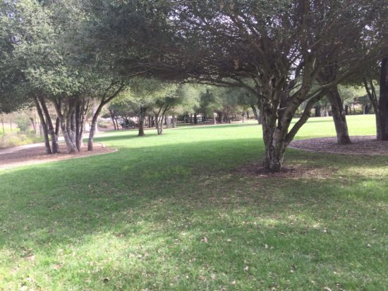 Large grassy area at Apple Valley Park in Atascadero California from the blog Two In Tow & On The Go.