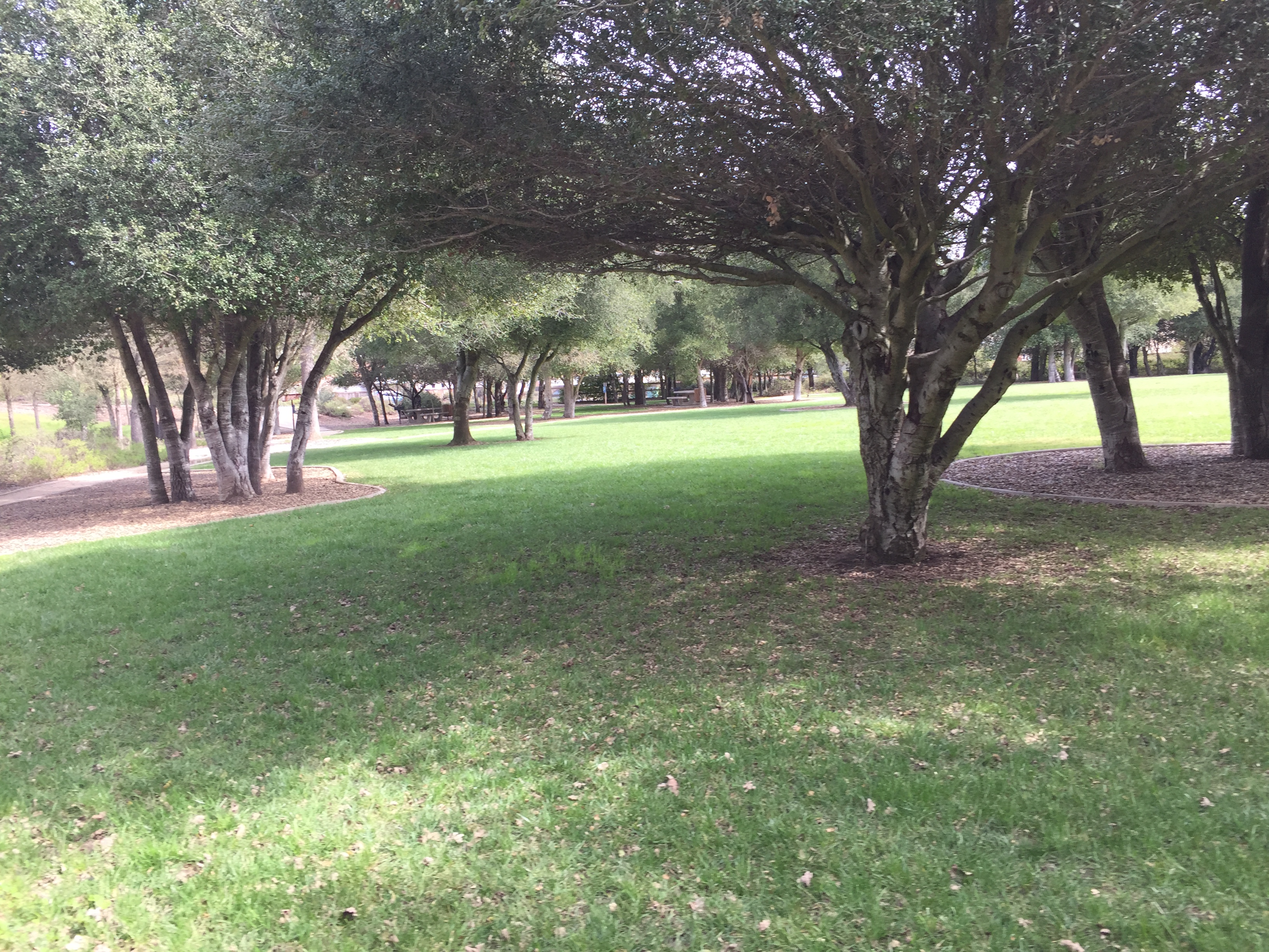 Large grassy area at Apple Valley Park in Atascadero California from the blog Two In Tow & On The Go.