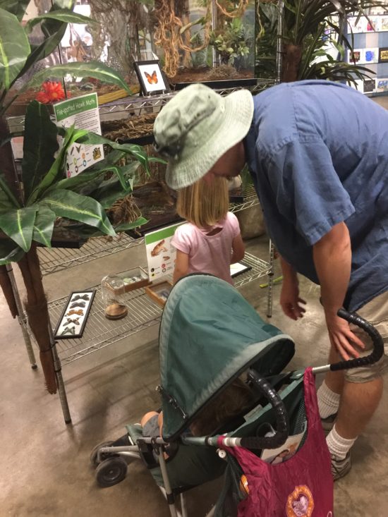 Hall of Bugs, Slugs, and Spiders at the California Mid State Fair