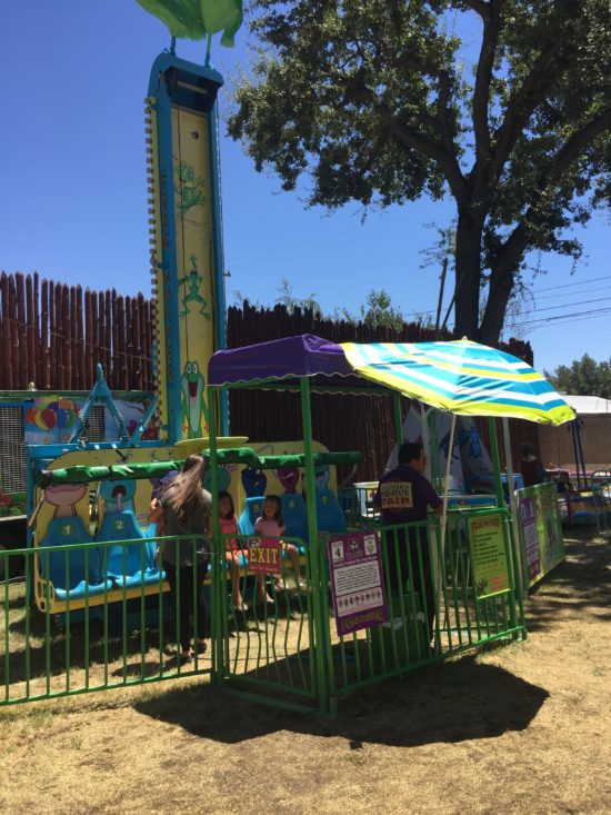 Frog Hopper at the California Mid State Fair