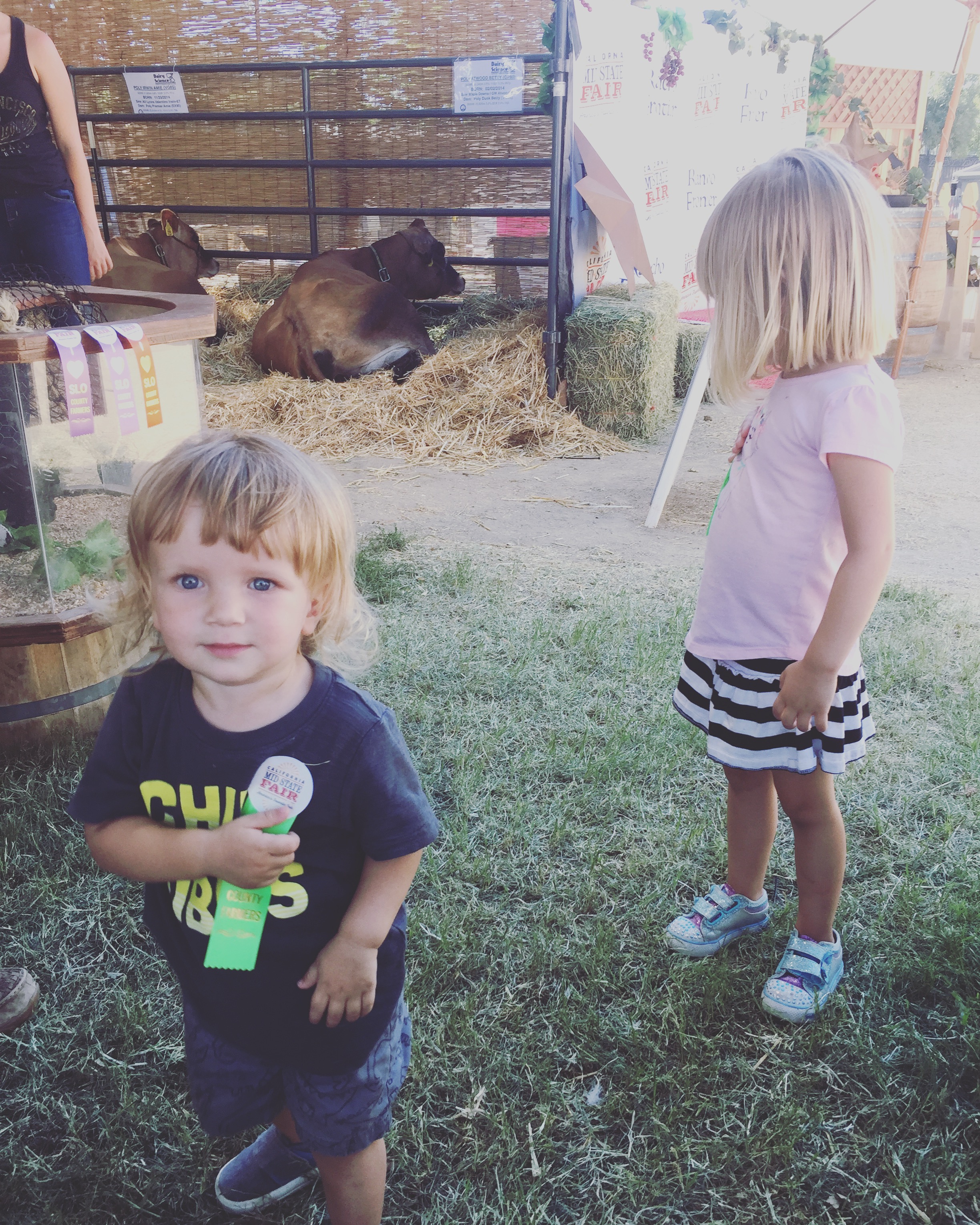Kids get a sticker badge in the new Farm Fresh Exhibit at the California Mid State Fair