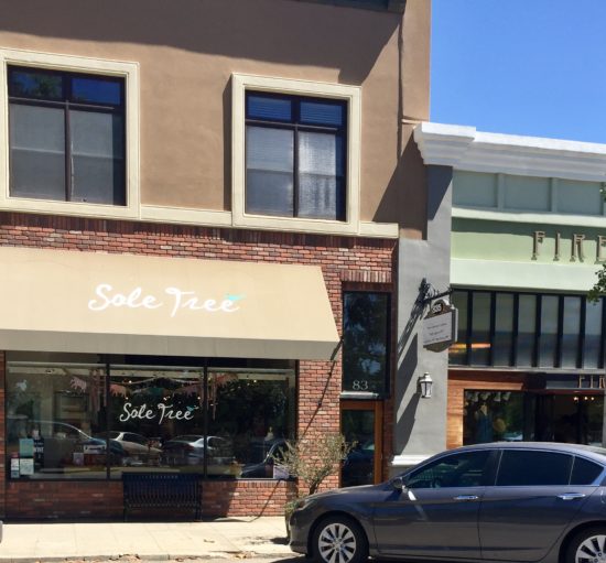 Sole Tree in Downtown Paso Robles