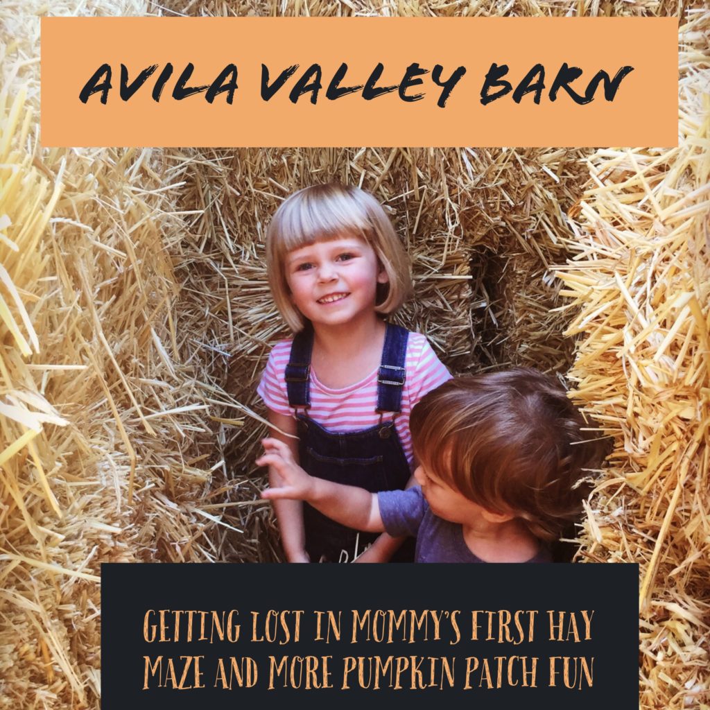 Avila valley barn Fun at the pumpkin patch