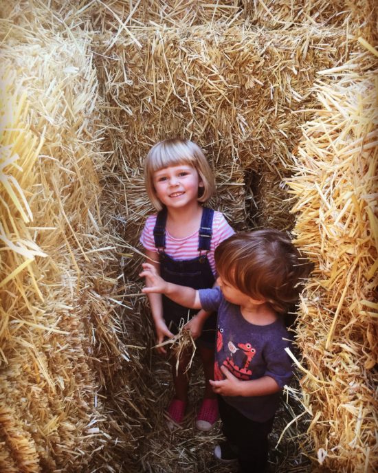 Avila Barn Hay Maze