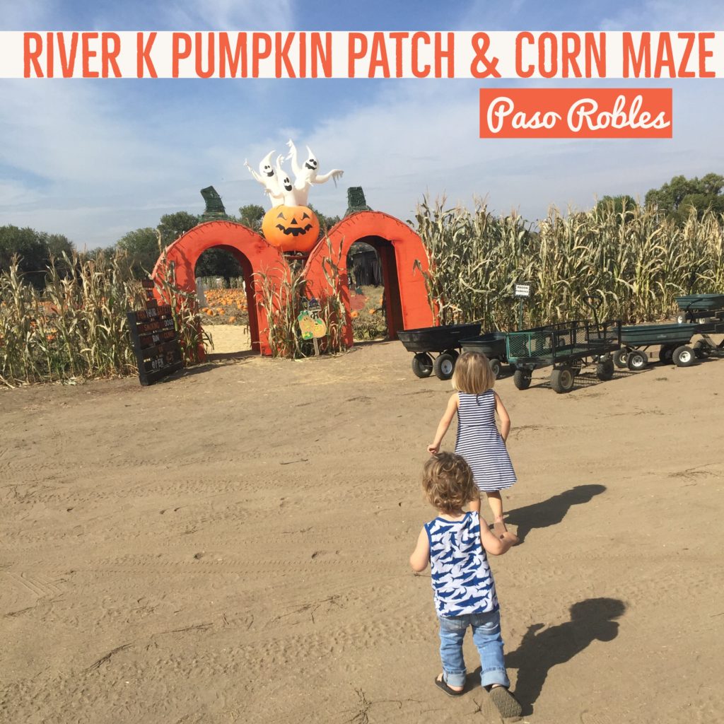 River K Pumpkin Patch Paso Robles Review by Two In Tow & On The Go