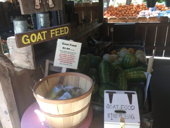 Feed the animals at Avila Valley Barn in SLO