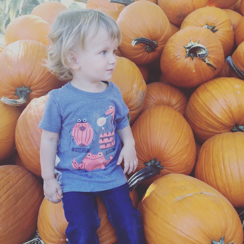 Avila Valley Barn San Luis Obispo pumpkin baby