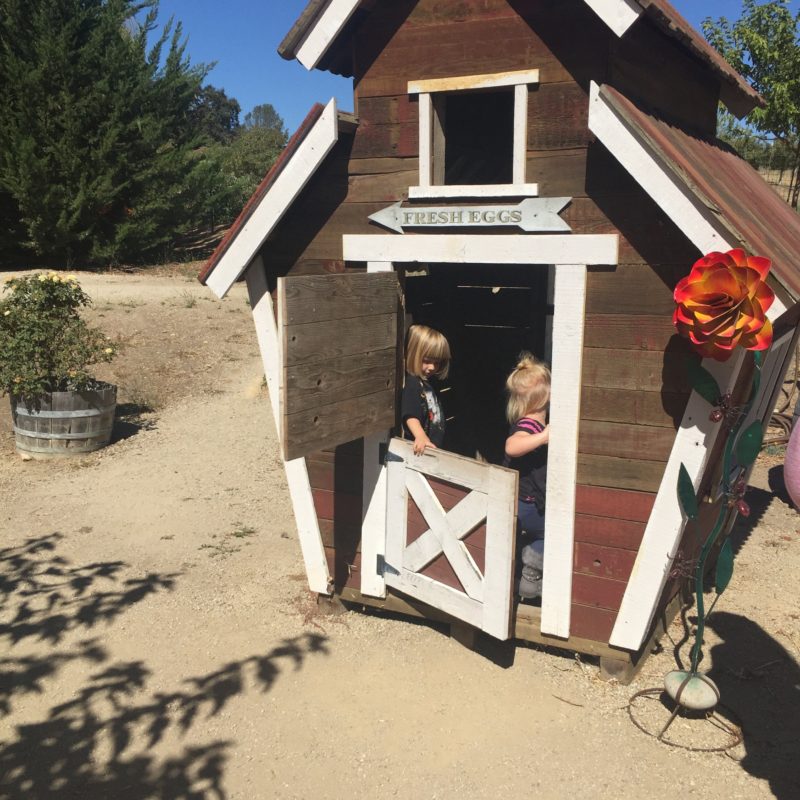 Jack Creek Farms Paso Robles playhouse