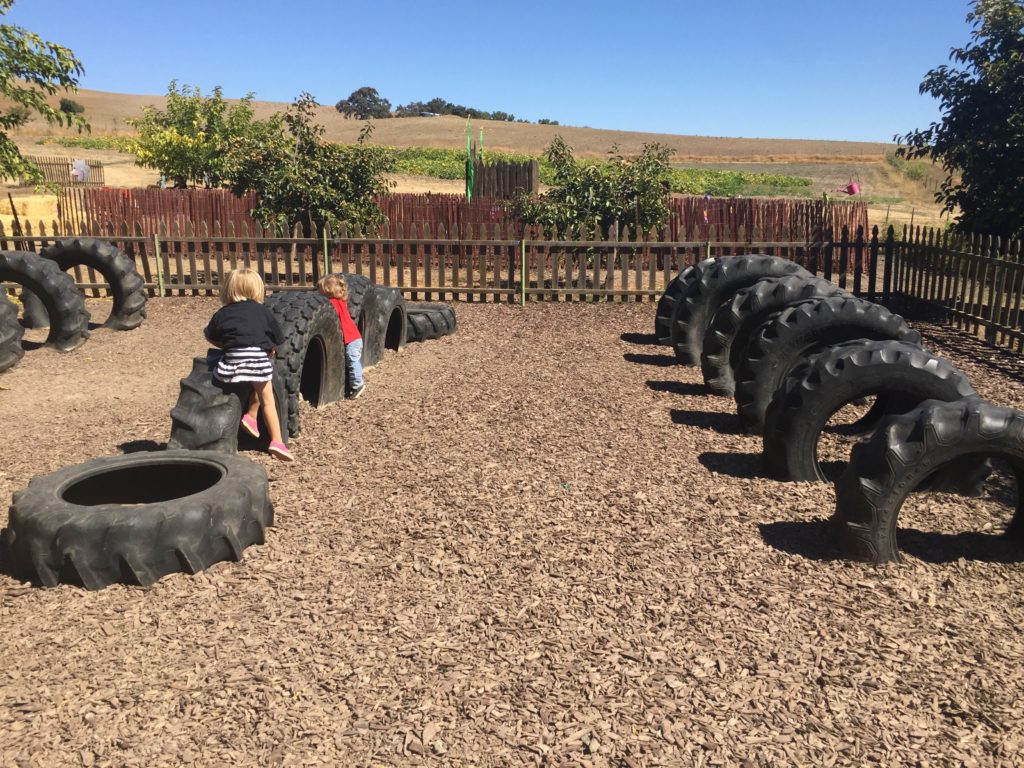 IMG_Jack Creek Farms Paso Robles tire play area overview Two In Tow