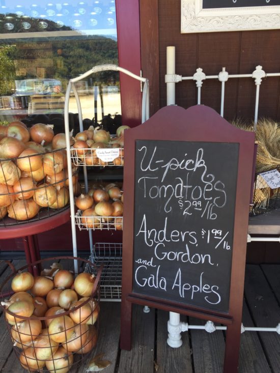 IMG_Jack Creek Farms Paso Robles apple picking country store