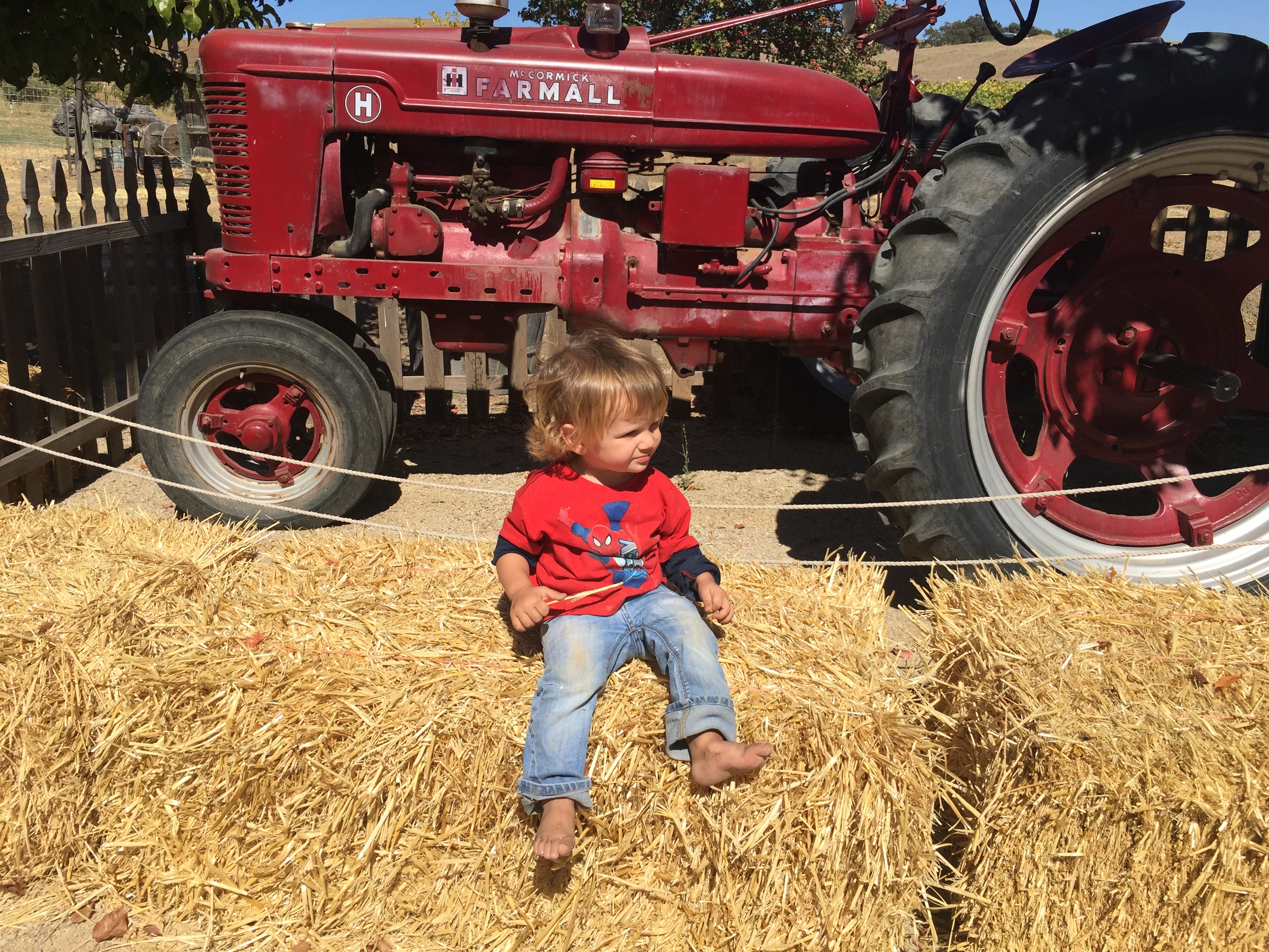 Jack Creek Farms Paso Robles tractor photo op