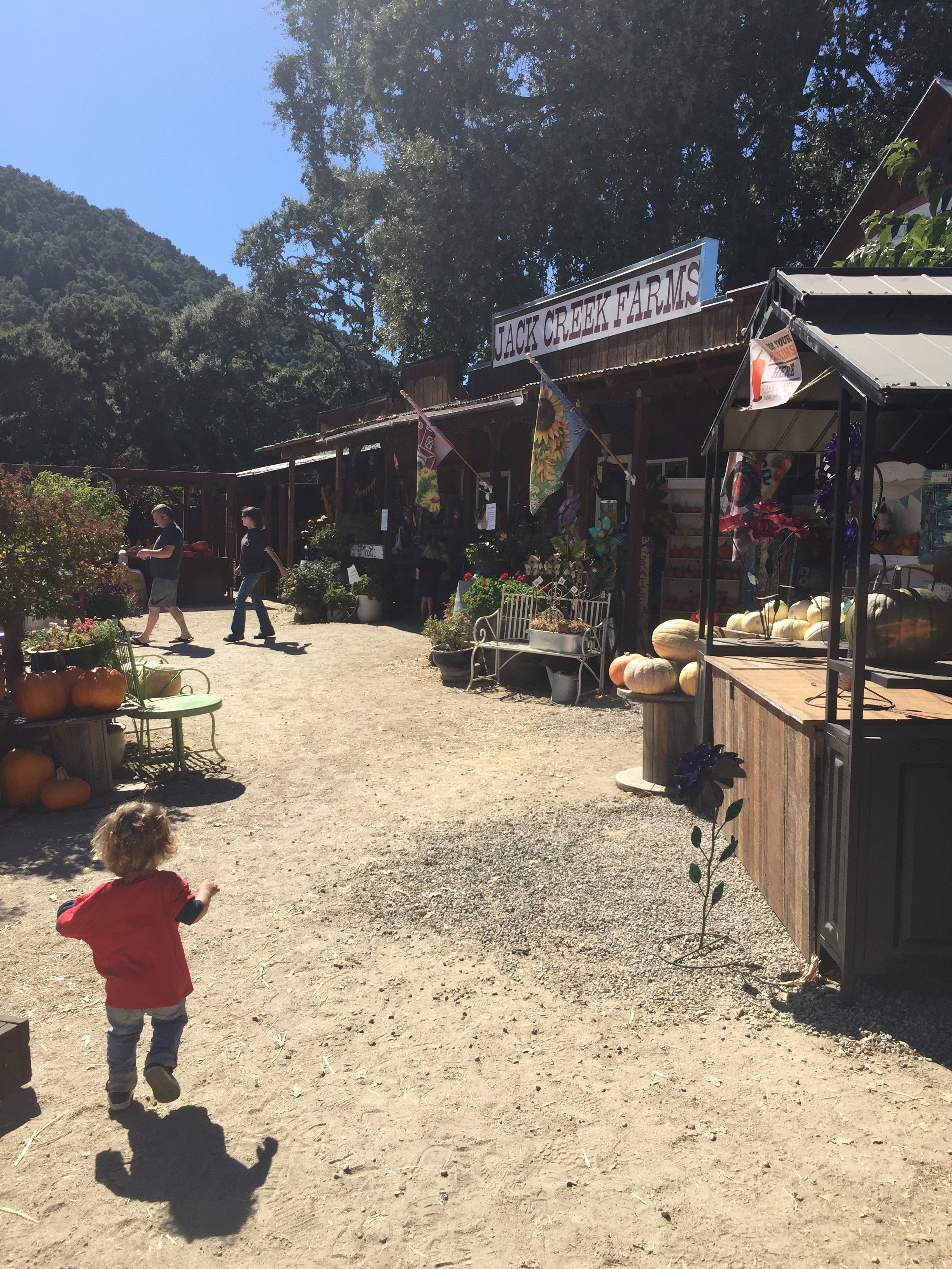 Jack Creek Farms Paso Robles country store