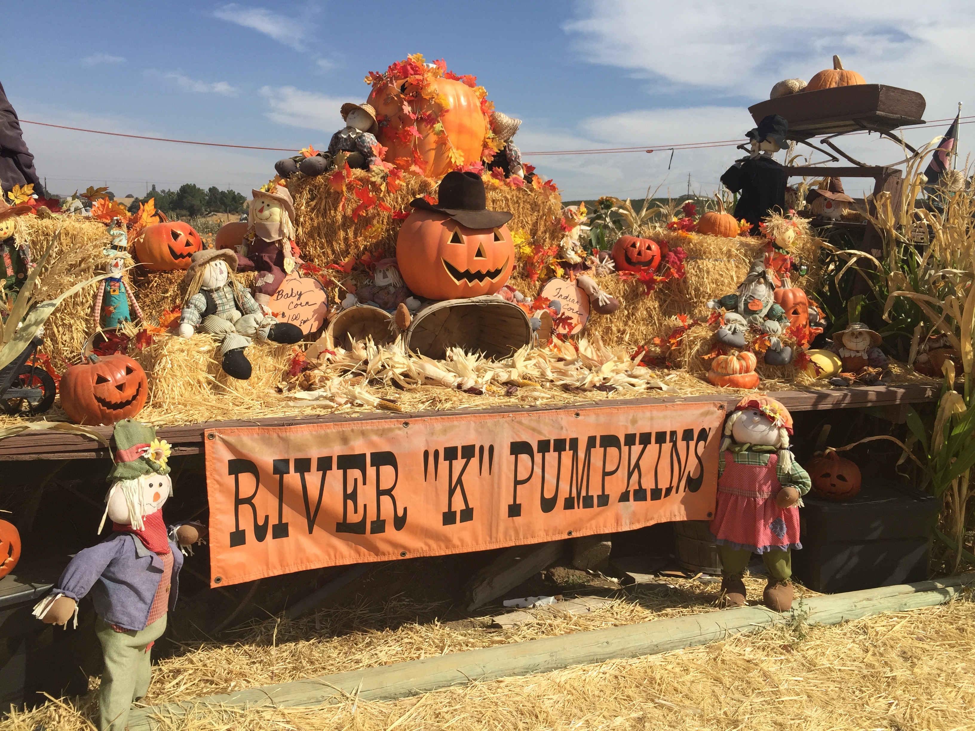 River K Pumpkin Patch Paso Robles display