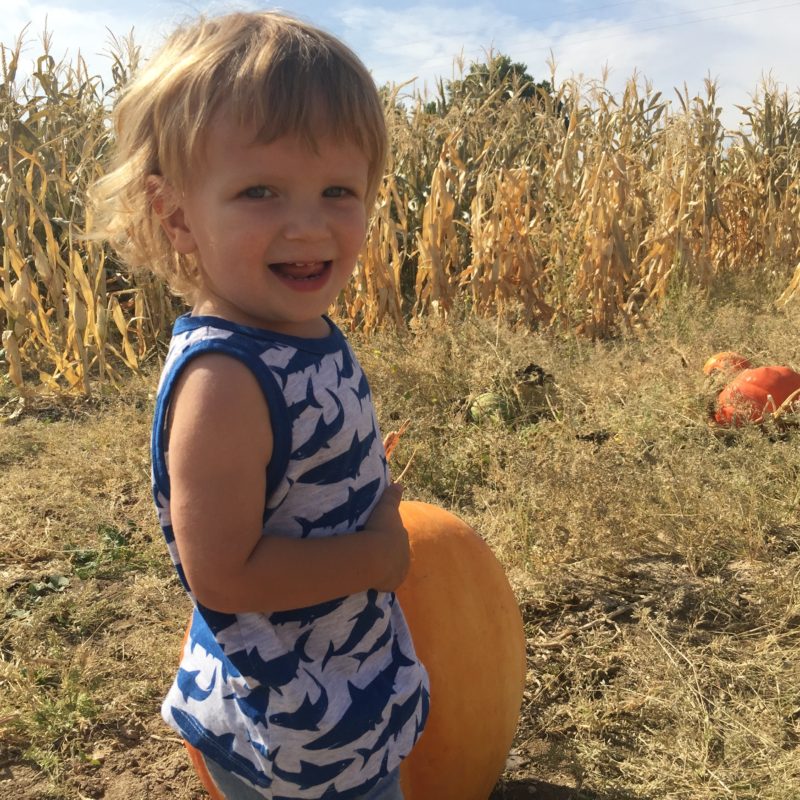 River K Pumpkin Patch Paso Robles baby time