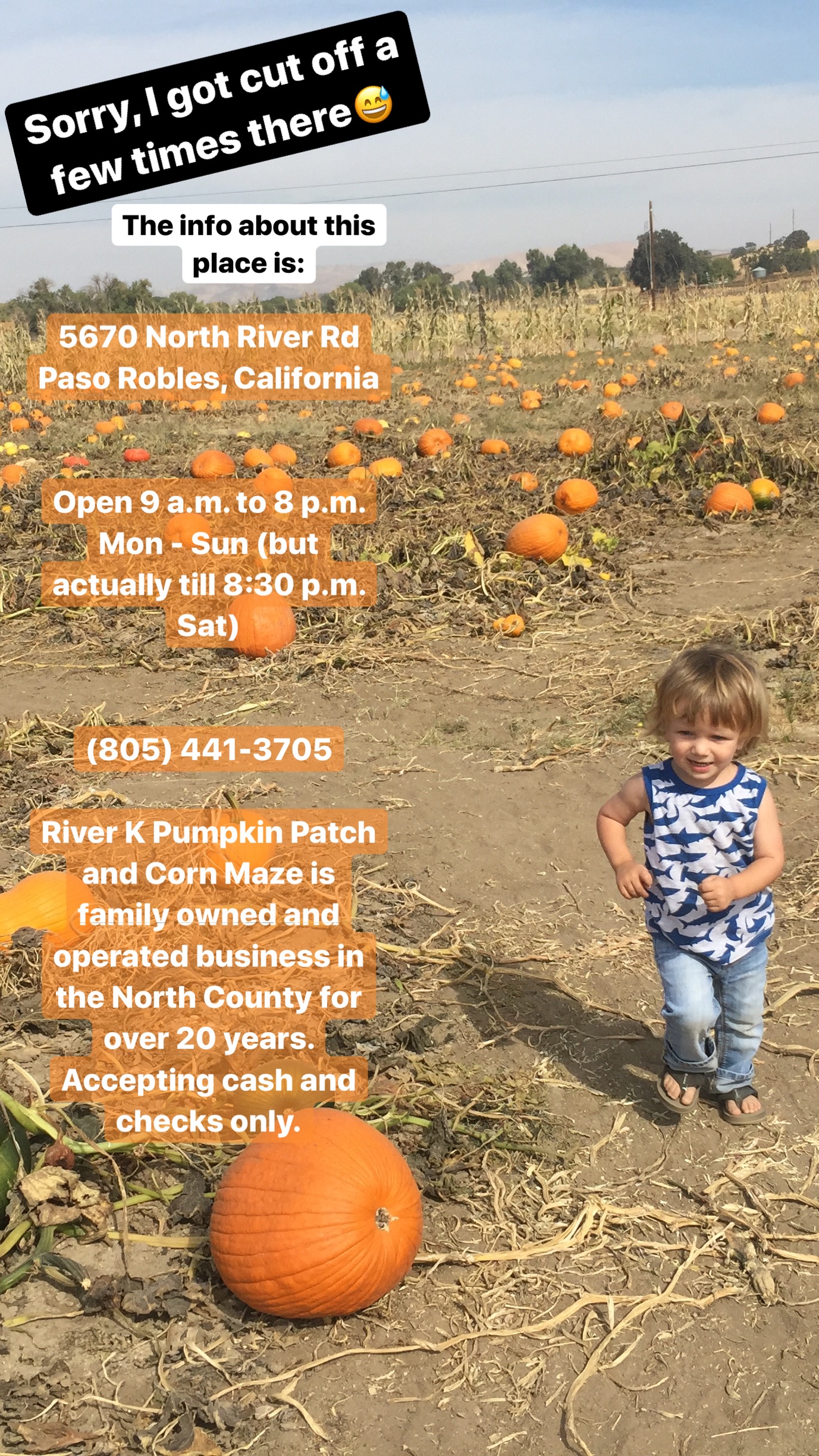River K Pumpkin Patch Paso Robles tips