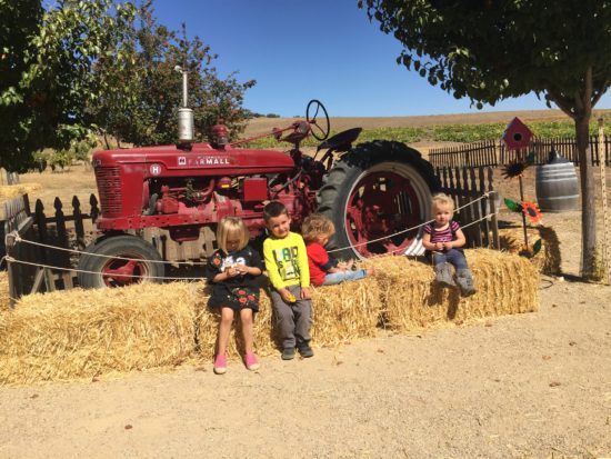 Jack Creek Farms Paso trying to get all the kids to smile