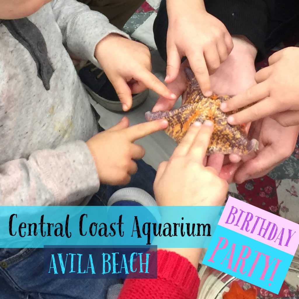 Birthday party at Central Coast Aquarium Avila Beach