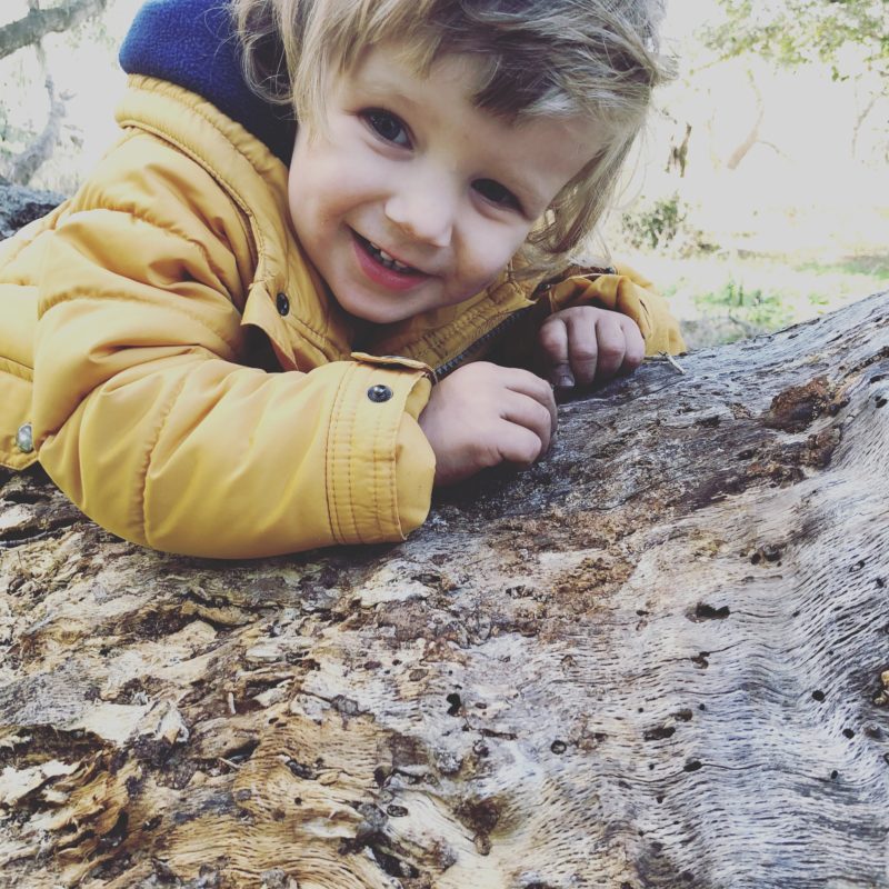 little boy in a yellow coat leaning on a tree