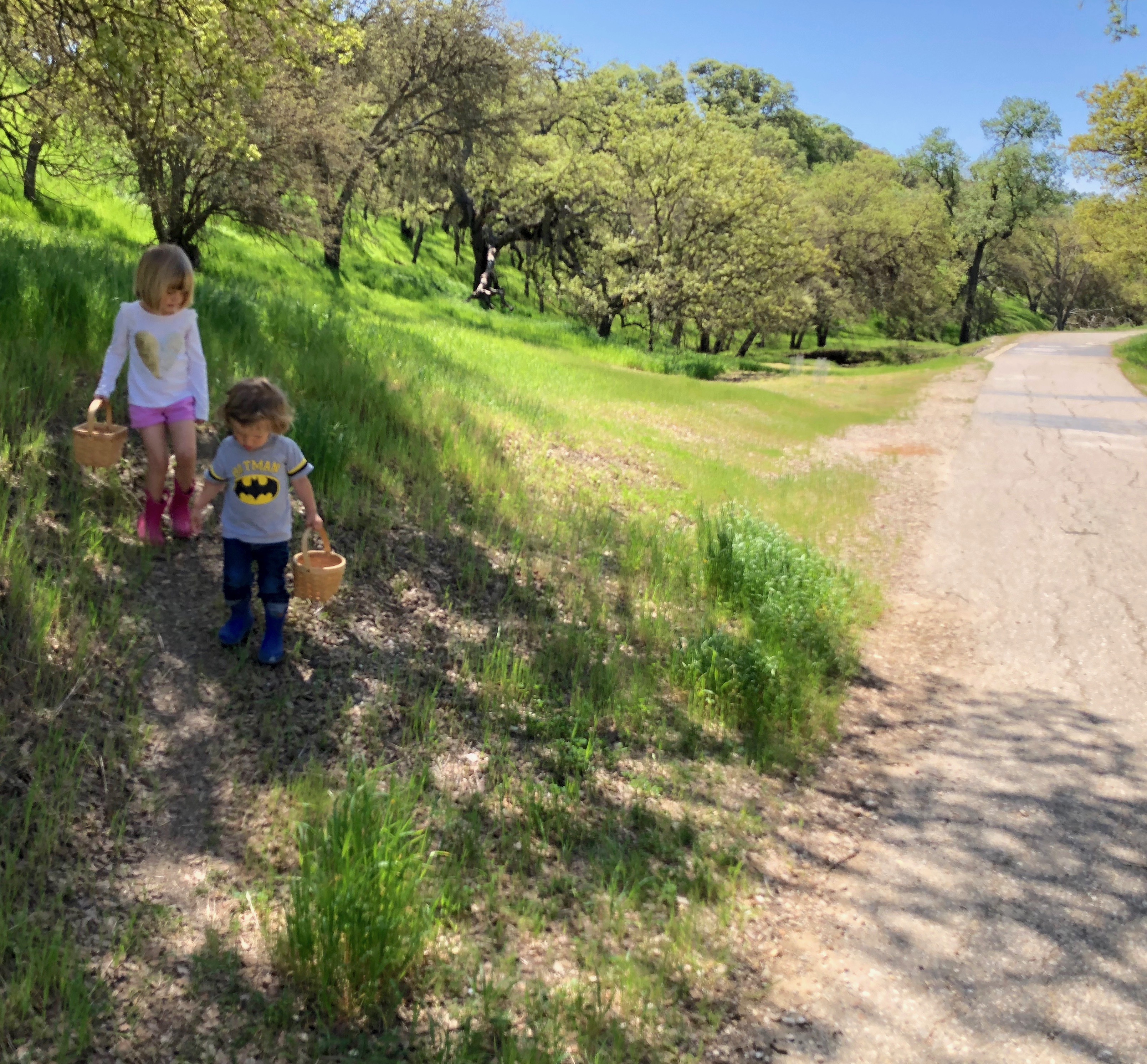 Two in Tow & On The Go Review of Centennial Trail Paso Robles