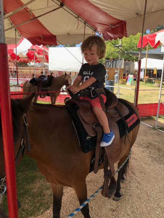 Things to do in Paso Robles with Kids During the California Mid State Fair_8