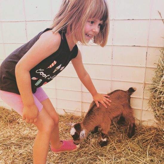 Things to do in Paso Robles with Kids During the California Mid State Fair_7