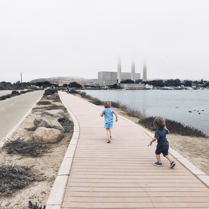 MORRO BAY HARBORWALKTwo In Tow & On The Go: A Family Adventure Column By Tonya Strickland __________________________________________________________________________ Two In Tow & On The Go is a SLO County Mommy Blog that details pictures, tips and stories about things to do with kids on California's Central Coast. Follow the adventure at @two.n.tow on Instagram and Facebook & at twontow.com. __________________________________________________________________________ On a whim, my 2 and 4 year old kiddos and I recently explored the Morro Bay HarborWalk. We were met with thrill-worthy beach swings, playful sea otters that tumbled and twirled in the calm harbor waters and boats that passed us as we ran along the expansive slated boardwalk. Kind of magical, right? This easy and free kidventure is a great way to get outside with a few key stops while you’re there. Once you walk the HarborWalk, you’ll find several lookout points, a slatted boardwalk and a Class 1 bike path away from the road. Between you start at the Embarcadero to the parking lot There are also two public restroom stops, a swing set and several lookout points with benches facing toward the calm waters. The humble beginnings of this stretch of Morro Bay was all just a vision In the early 1950s, according to the city. As the story goes, a Mr. Arthur E. Coleman worked to connect Morro Rock to the Embarcadero via a road to build a waterfront park for children. And that’s just what exists today. Coleman Park features a fenced basketball court and six swings (including two bucket swings for the babes! The accompanying HarborWalk, completed about a decade ago, stretches from the Embarcadero’s quaint string of gift/seafood/saltwater taffy shops to the iconic Morro Rock, the last in a line of volcanic earthly throwbacks reaching south toward San Luis Obispo. HarborWalk pairs a pedestrian walkway with slatted boards and a seperate, two-lane paved bike path for guests of all kinds. Even the crazy preschool-toddler variety. In fact, our favorite stop is a tie between the Coleman Park swingset and the playful otter pups swimming just south of the Rock As a bonus, it has lots of lookouts and views of harbor boats! And if you’ve studied up on your preschooler story books, you’ll know them aaaall the boat names. And that’s it! Easy-peasy. You could end your trip there, or go explore the Morro Bay Embarcadero which we detail in a Morro Bay Day Guide over on the blog, twontow.com; OR you can call it a success and just head home (I, personally, tend to not chance it with those tiny humans in tow). Either way, it will be fun day in Morro Bay. See you there!