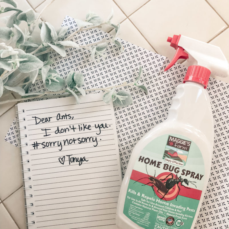 Maggie’s Farm Simply Effective Home Bug Spray Review _1
