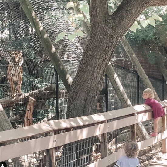 Animals of West Africa, Charles Paddock Zoo