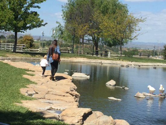 Barney Schwartz Park Lake Paso Robles Review - 4