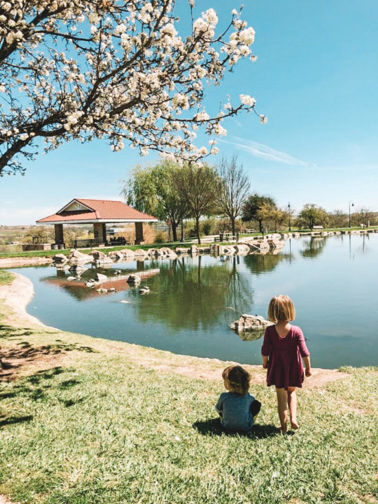 Barney Schwartz Park Lake Paso Robles Review - main