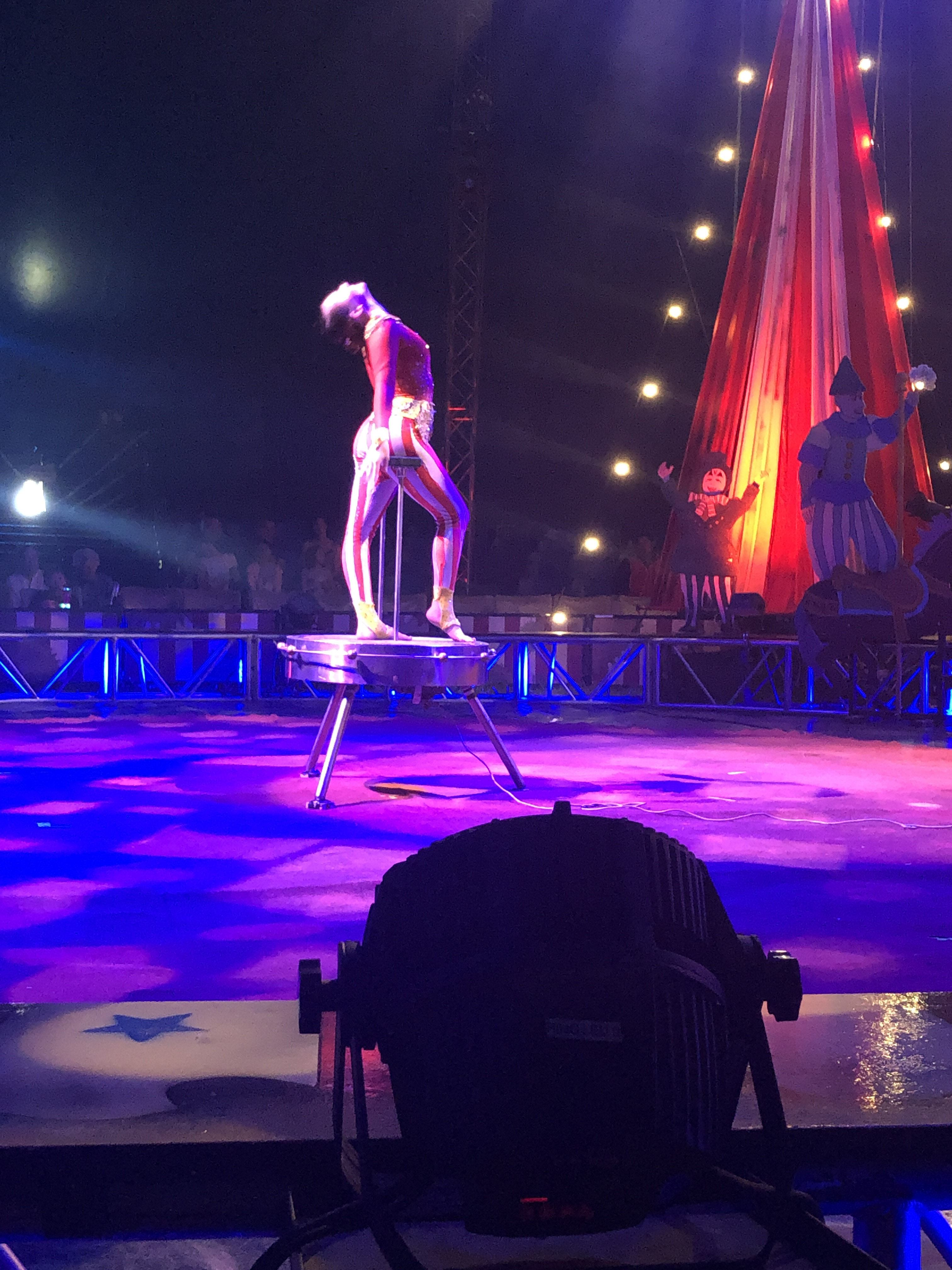 Circus Vargas Review33 Tonya Strickland Influencer