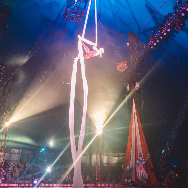 Circus Vargas Review_4