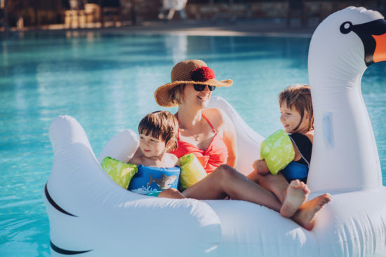 Floating swan in pool