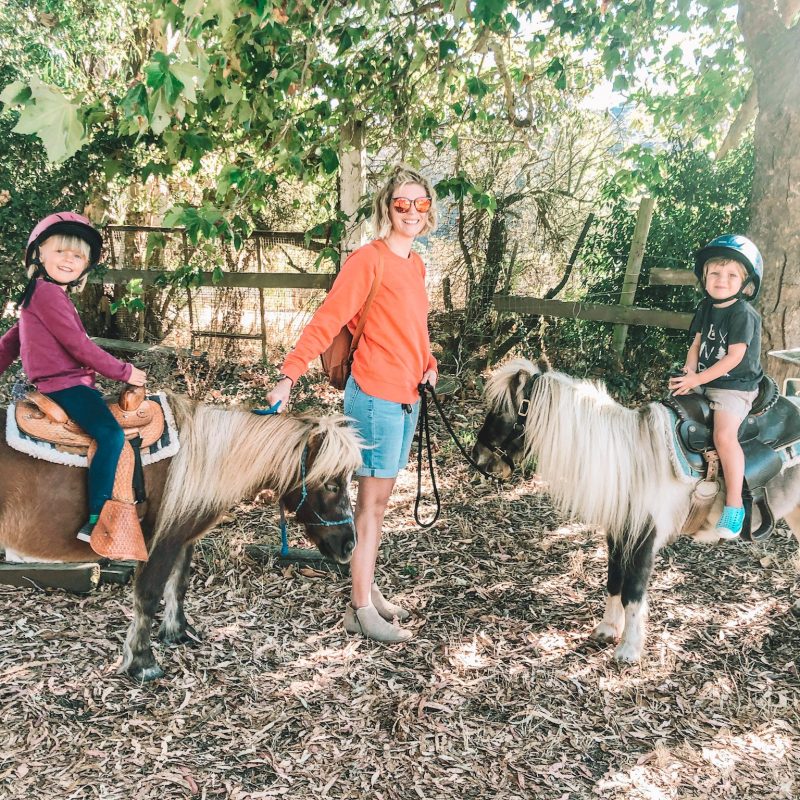 Tiny Trotters in Los Osos horse farm with ponies for kids